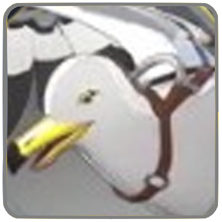 Domesticated Seagull 图标